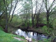 Тарасенки з panoramio.com