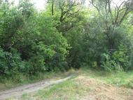 Артема з panoramio.com