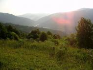 Вишній Дубовець з panoramio.com