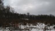 Ярок з panoramio.com - Ярок
