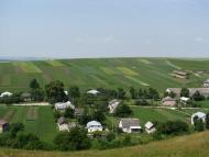 Чесники з panoramio.com