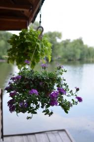 Мала Севастянівка з panoramio.com