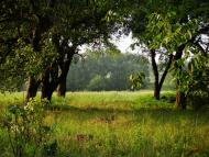 Клинове з panoramio.com