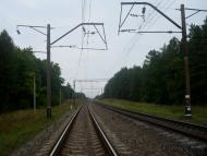 Цвітоха з panoramio.com