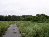 Остроушки з panoramio.com