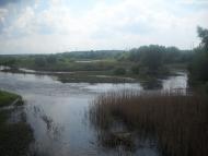 Сенча з panoramio.com