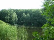 Руські Тишки з panoramio.com