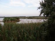 Червона Нива з panoramio.com