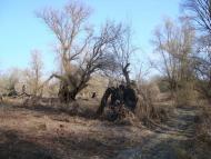 Єньків з panoramio.com