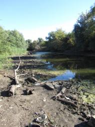 Новоолександрівка з panoramio.com