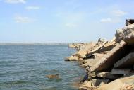 Нерубайське з panoramio.com - Нерубайское