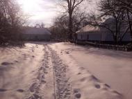 Ріпна з panoramio.com