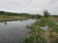 Дмитрівка з panoramio.com