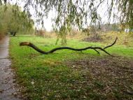 Клузів з panoramio.com