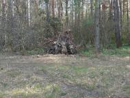 Долина з panoramio.com