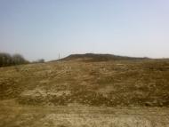 Великий Омеляник з panoramio.com