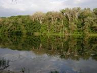 Пришиб з panoramio.com