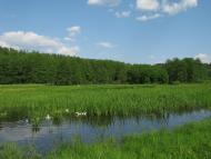 Новий Білоус з panoramio.com