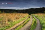 Пасіка з panoramio.com