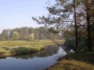 Рудня-Бистра з panoramio.com