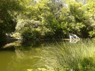 Геївка з panoramio.com