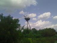 Pyatygirtsi - Latest photos