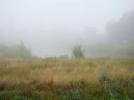 Жовтневе з panoramio.com