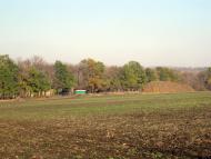 Олександропілля з panoramio.com