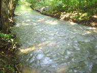 Вишневе з panoramio.com