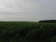 Семирічка з panoramio.com