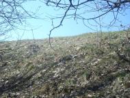 Лопатинці з panoramio.com