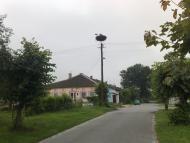 Висоцьк з panoramio.com