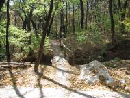 Оленівка з panoramio.com