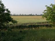 Табачне з panoramio.com