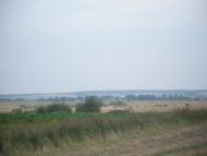 Бережне з panoramio.com