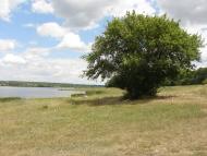 Ганнівка з panoramio.com