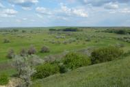 Юльївка з panoramio.com