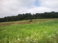 Великі Глібовичі з panoramio.com