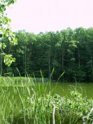 Руські Тишки з panoramio.com