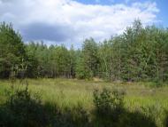 Мареничі з panoramio.com