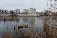Миронівка з panoramio.com - Мироновка
