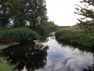 Березівське з panoramio.com