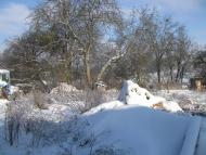 Домажир з panoramio.com