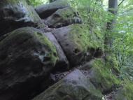 Слобода-Бушанська з panoramio.com