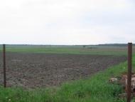 Рівнопілля з panoramio.com