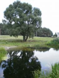 Борщова з panoramio.com