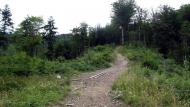 Букове з panoramio.com - Букове