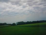 Мильці з panoramio.com