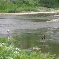 Верхнє Висоцьке з panoramio.com