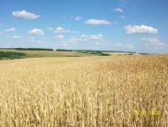 Михайлівка з panoramio.com